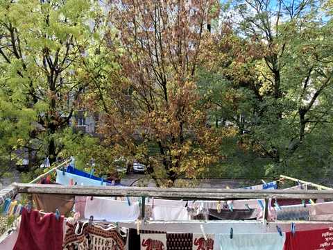 квартира за адресою Павла Тичини вул., 12