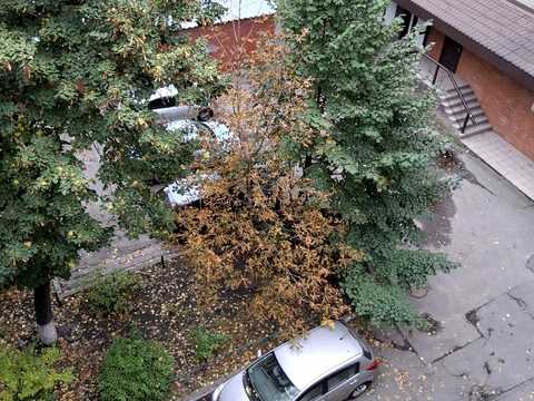 квартира за адресою Антоновича вул. (Горького), 123