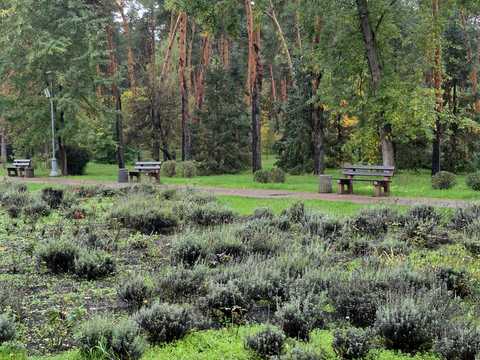 квартира за адресою Воскресенська вул., 18-Б