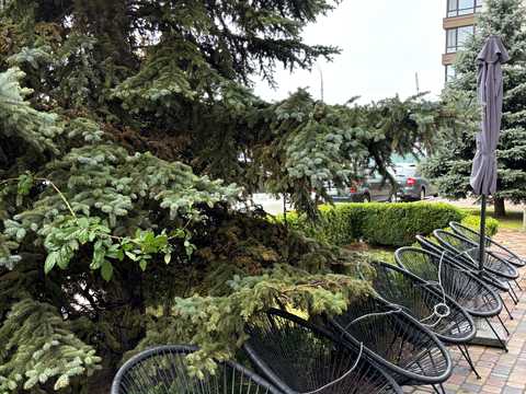 квартира за адресою Михайла Максимовича вул. (Онуфрія Трутенка), 26-Б