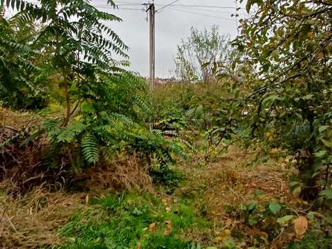 будинок за адресою Одеса, Могілевська вул., 28