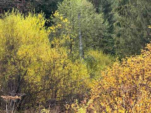 ділянка за адресою с. Лопухів,