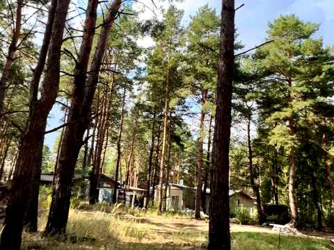 дом по адресу с. Зазимье, Підлісна ул.