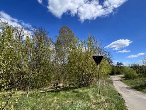 ділянка за адресою с. Туринка, Боглана Хмельницького, 29