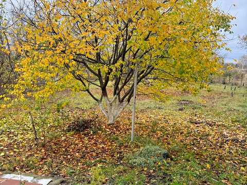 будинок за адресою Стельмаха вул., 74