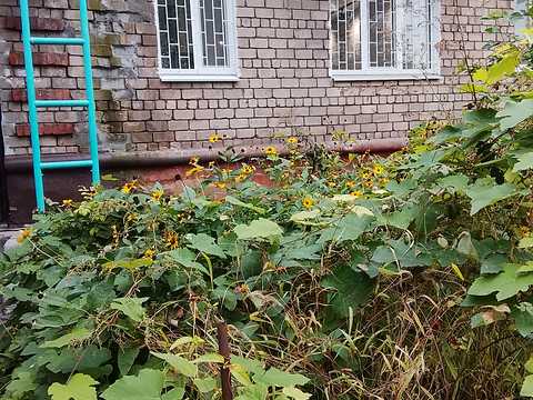 квартира за адресою Квітів вул., 12