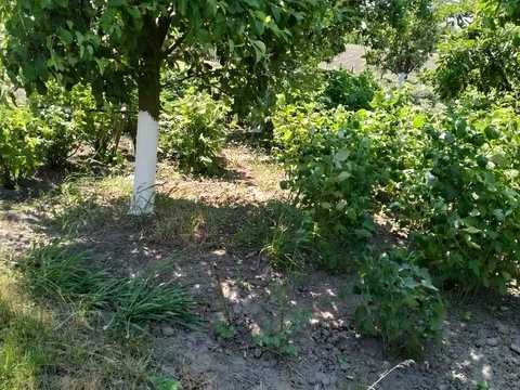 будинок за адресою с. Вербівка, Шевченка