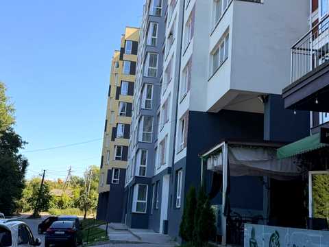 комерційна за адресою Володимира Великого вул., 3