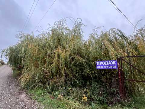 ділянка за адресою с. Велика Калинка, 