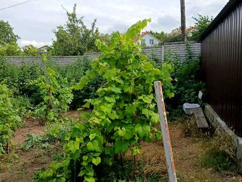 будинок за адресою Вінниця, Валеріана Боржковського вул. (Тельмана)