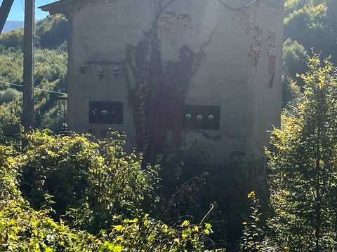 комерційна за адресою Барвінкова, 25