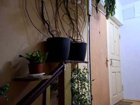 квартира по адресу Софиевская пл., 23