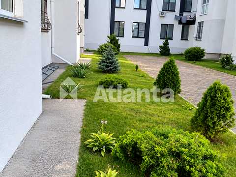 квартира за адресою Кошова вул., 81