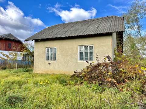 будинок за адресою с. Подорожнє, Незалежності
