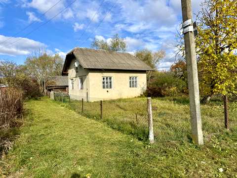 будинок за адресою с. Подорожнє, Незалежності