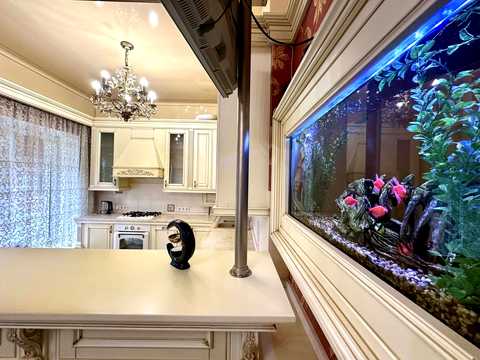 будинок за адресою с. Чайки, Коцюбинського вул.