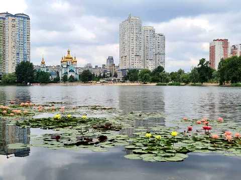 квартира по адресу Юрия Шумского ул., 5