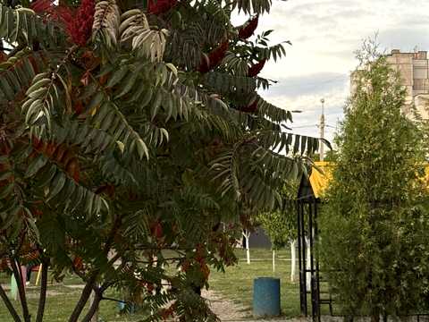 квартира за адресою Незалежності України вул., 11