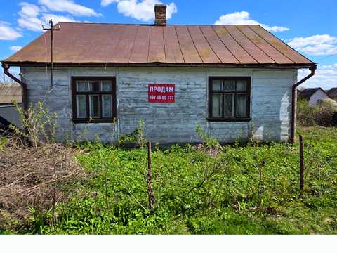 дом по адресу Княгині Ольги (Кузнецова)
