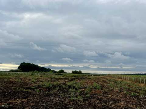 будинок за адресою с. Жабелівка, Лісова