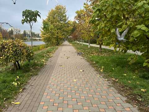 квартира за адресою Київ, Євгена Сверстюка вул. (Марини Раскової), 6-В