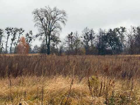 ділянка за адресою с. Мироцьке, Дружби