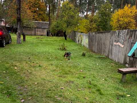 участок по адресу Буча, Старо-Яблонская ул., 17