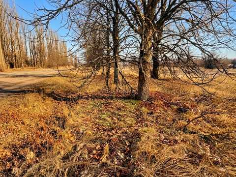 ділянка за адресою Каштанова