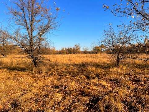 ділянка за адресою Каштанова
