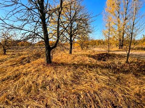 ділянка за адресою Каштанова