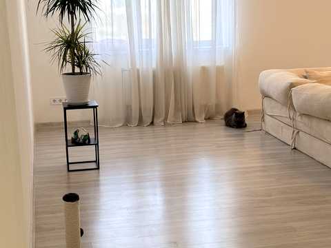 квартира за адресою Заліська вул., 5