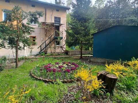 квартира по адресу Львов, Стуса ул. (Островского), 55