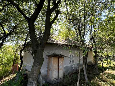 дом по адресу Рошнів