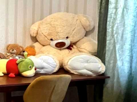 квартира за адресою Оболонський просп., 10