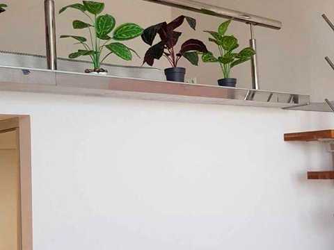 квартира за адресою Світлицького вул., (Будинок)