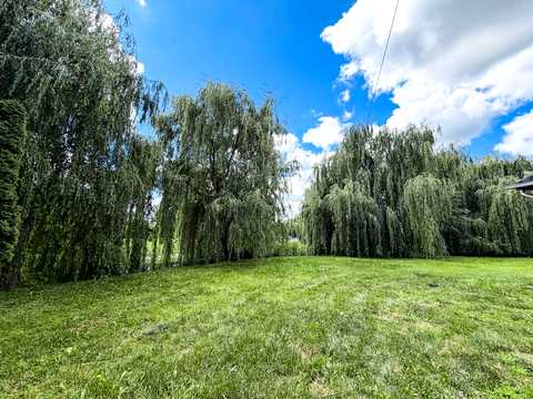 дом по адресу с. Новые безрадичи, Сонячна ул.