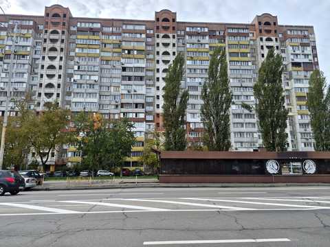 квартира за адресою Рональда Рейгана вул. (Теодора Драйзера), 9