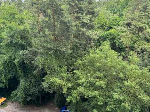 квартира по адресу Академіка Шалімова ул., 63-А