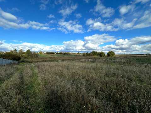 ділянка за адресою с. Козинці, Паліїв, 19
