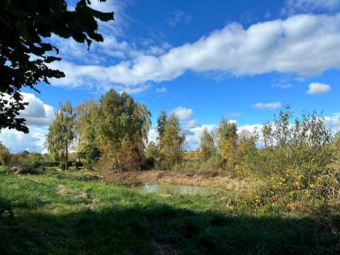 ділянка за адресою с. Козинці, Паліїв, 19