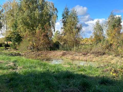 ділянка за адресою с. Козинці, Паліїв, 19