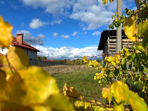 ділянка за адресою с. Козинці, Паліїв, 19