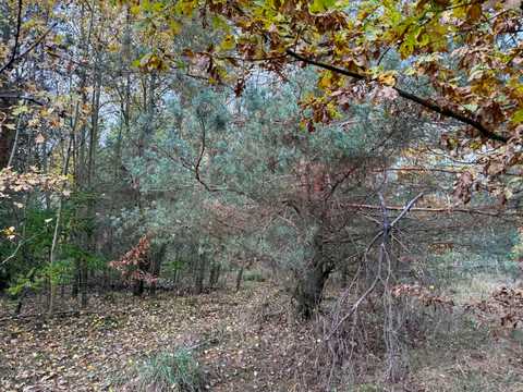 ділянка за адресою с. Михайлівка-Рубежівка,