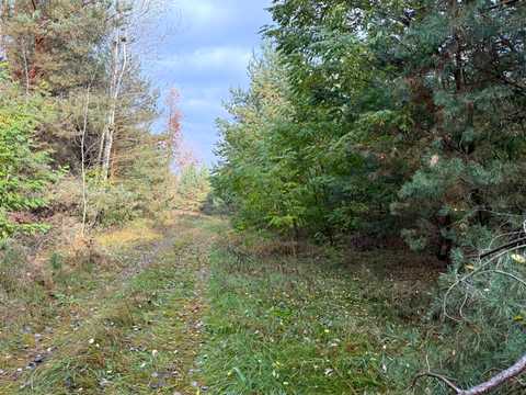 ділянка за адресою с. Михайлівка-Рубежівка,