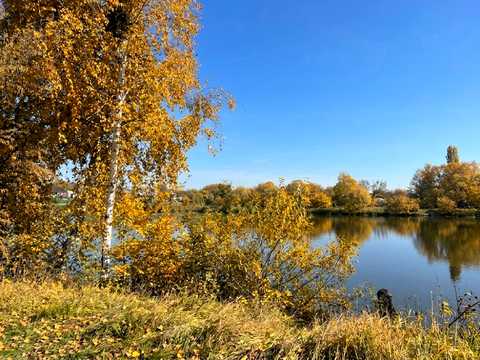 ділянка за адресою с. Микуличі, Архітектора Рикова, 3
