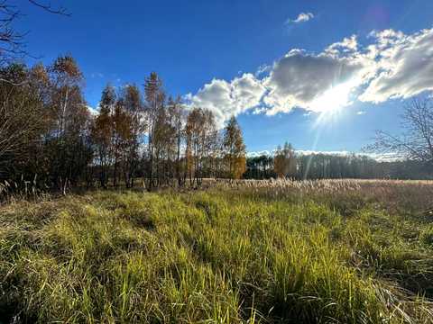 ділянка за адресою с. Почепин, 