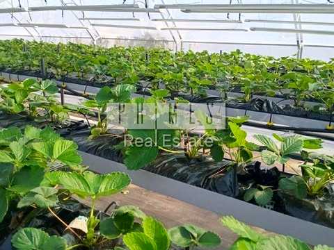 комерційна за адресою Лісова вул., 77