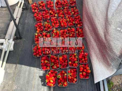 комерційна за адресою Лісова вул., 77