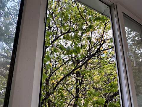 квартира по адресу Патріотів ул., 98