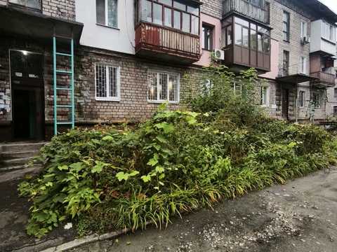 квартира за адресою Кам'янське (Дніпродзержинськ), Квітів вул., 12